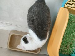 -暖阳宠物医院·犬猫康复中心·骨科