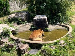 -无锡动物园·太湖欢乐园