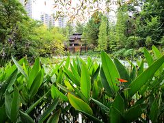 景点-广州珠江公园