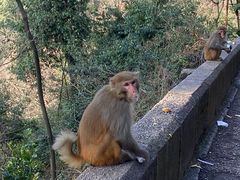 -黔灵山公园