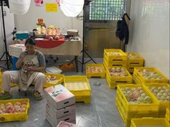 -老袁家蜜桃农场·阳山水蜜桃