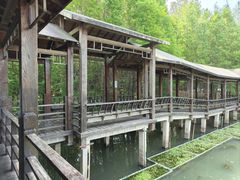 -溱湖国家湿地公园