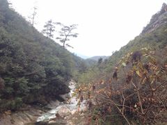 -鄣山大峡谷