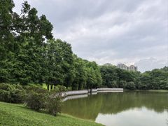 -东莞植物园