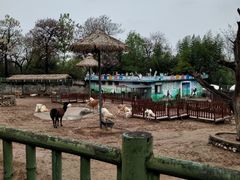 -西安秦岭野生动物园