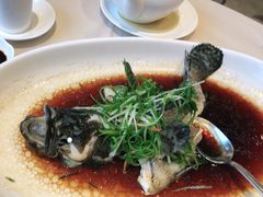 -南海渔村(珠江新城店)
