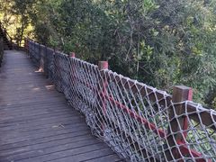 -广州白江湖森林公园