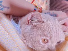 -爱侣宠医·鹦鹉专科·小型哺乳类·异宠专科(灵石路店)