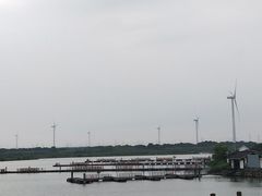 -莲花岛景区