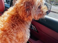 -酷宠动物医院(天通西苑店)