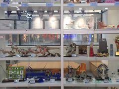 -斯坦星球AI编程·机器人科创·科学实验·信奥·思维·STEM·乐高·竞赛考级(长宁虹桥大融城荟聚中心)