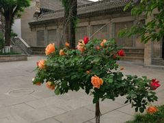 -西安关中民俗艺术博物院