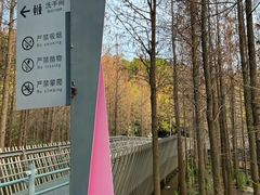 -福道