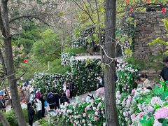 -云丘山景区