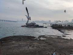 -星海广场
