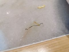 -韩宫宴炭火烤肉(印象城店)