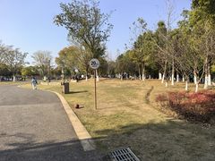 -盘龙城国家考古遗址公园