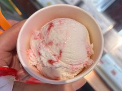 -iceason爱茜茜里·意大利健康冰淇淋(骑龙巷店)