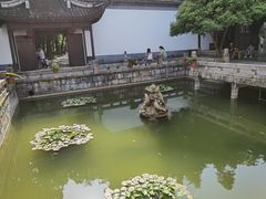 -上海醉白池公园