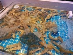 -集品鲜湾·蒸汽海鲜自助料理(青岛银座和谐广场店)