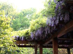 -徐家汇源景区-衡山公园