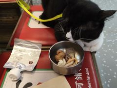 -成都你六姐·牛肉冒菜(城市集市合生汇店)