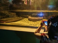 -常州海昌海洋探索馆