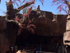 -哈尔滨文化公园