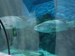 -苏州海洋馆