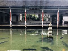 玉泉鱼跃-山外山菜馆(玉泉路店)