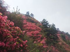 -木兰云雾山