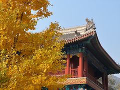 -潭柘寺景区