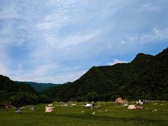 -狮子沟牧场