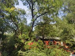 -潭柘寺景区