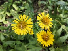 -碓臼峪自然风景区