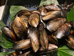 -火舞泰·泰式海鲜火锅餐厅(世纪城店)