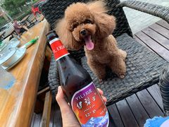 -巴依老爷新疆餐厅
