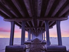 -宝安西湾红树林湿地公园