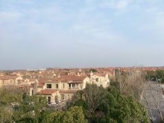 -上海崇明金茂凯悦酒店