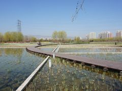 -永定河休闲森林公园