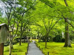 -三千院
