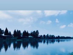 -羊亭河湿地公园