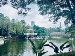-晓港公园