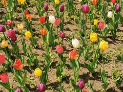 -长春公园(普阳街道)