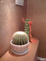 点击看大图 -欧婼妍