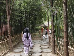 -洛阳白马寺