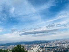 -长虫山生态公园风景林