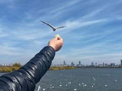 -文山荷鲜居(翠湖店)