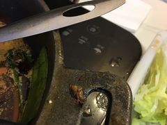 -湘肠香火锅店(团结湖店)