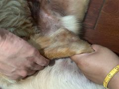 -美联众合动物医院·24h京西诊疗中心
